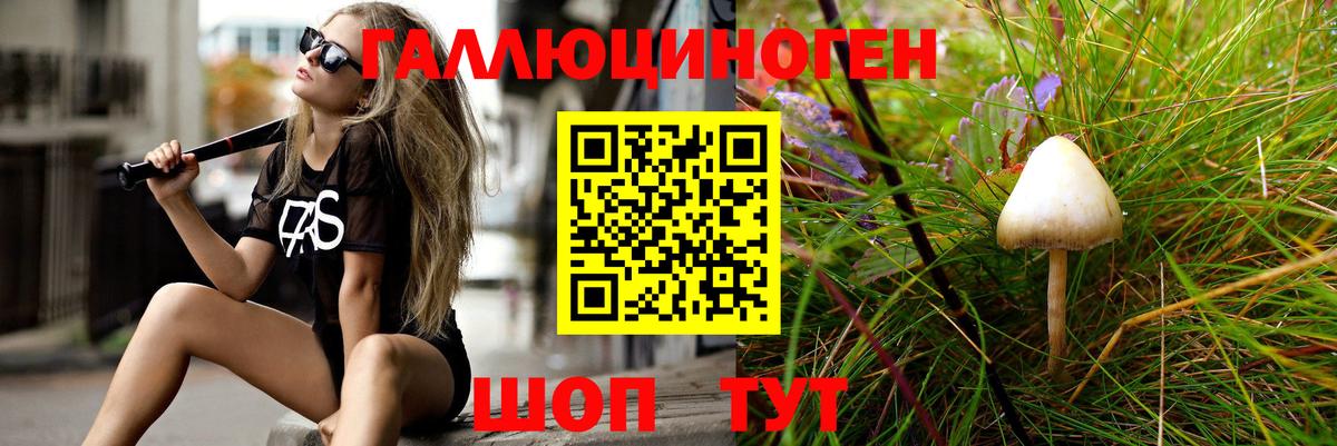 Псилоцибиновые грибы Cubensis Магнитогорск