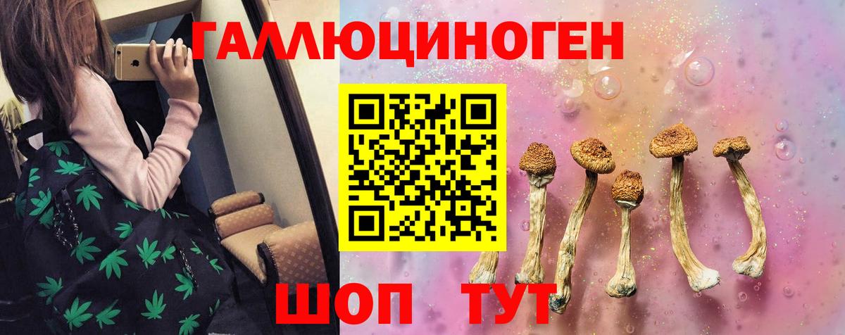 Галлюциногенные грибы GOLDEN TEACHER  Вход с VPN  Магнитогорск  Галлюциногенные грибы MAGIC MUSHROOMS 